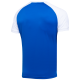 Футболка игровая CAMP Reglan Jersey JFT-1021-092-K, синий/белый, детская